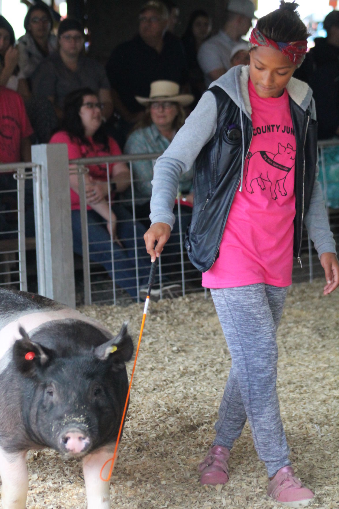 DC Fair Sunday 012.JPG